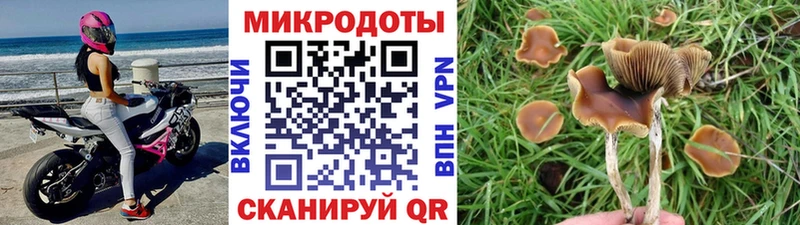 blacksprut зеркало  Суворов  Псилоцибиновые грибы Magic Shrooms 